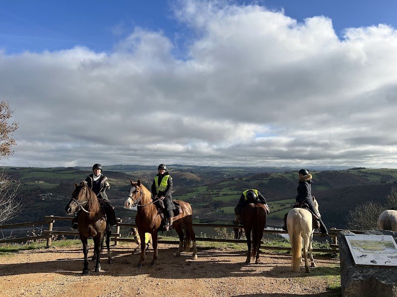 Horse Escape - photo 2