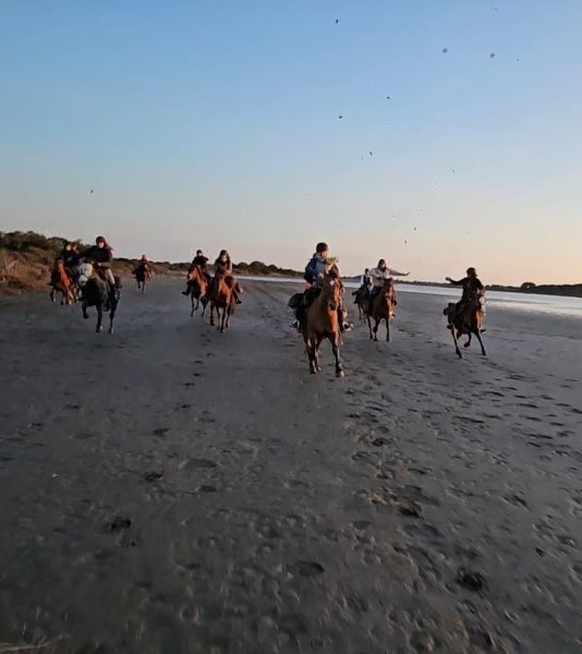 Horse Escape - photo 3