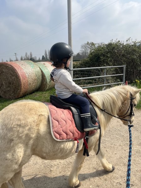 Poney Club Du Grand Celard - photo 2