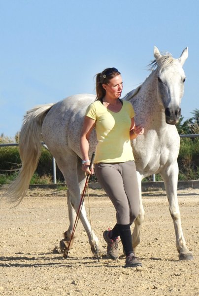 Charlotte Pantos - Ferme équestre éthologique & pédagogique