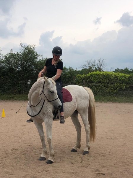 Charlotte Pantos - Ferme équestre éthologique & pédagogique - photo 3