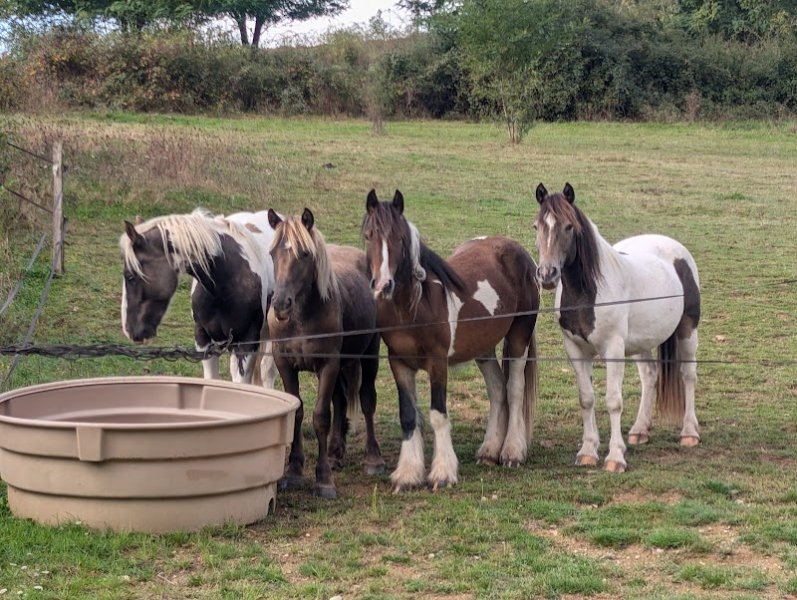 EI Durand Chevalier Charlotte - photo 3