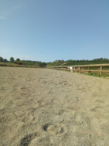 Centre Équestre de Morancé - photo 1