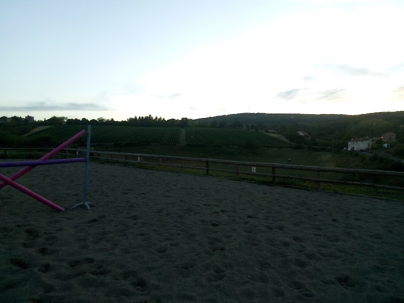 Centre Équestre de Morancé - photo 2