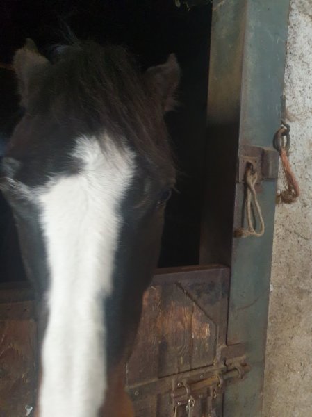 Ecuries Privées de Chalifert