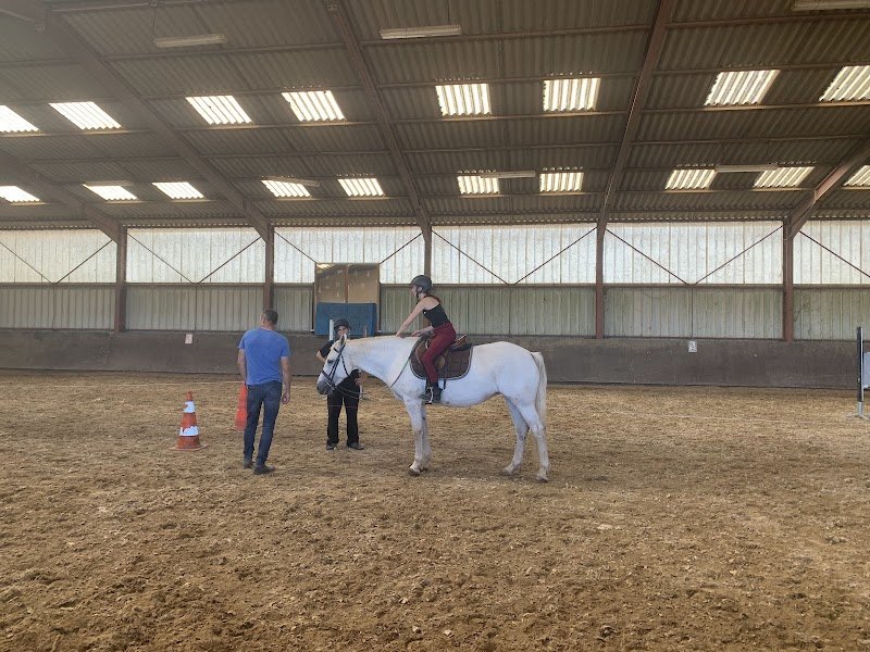 les Écuries d'ARION - Centre équestre 77 - Pension pour chevaux 77 - photo 1