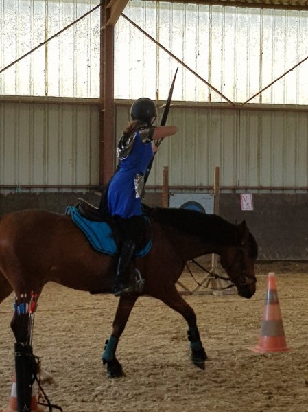 les Écuries d'ARION - Centre équestre 77 - Pension pour chevaux 77 - photo 3