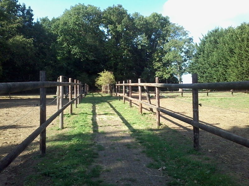Haras d usta - photo 1