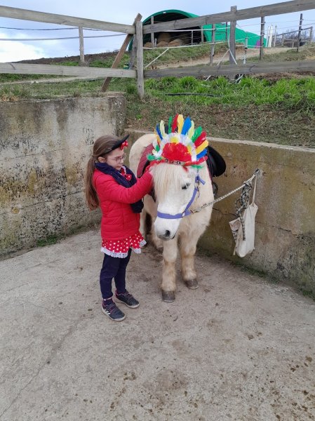 PONEY CLUB DU ROSSON - photo 3