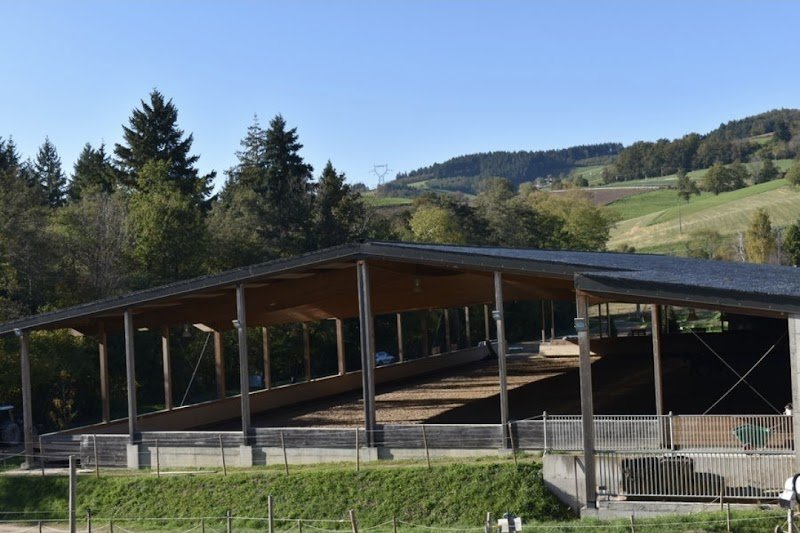 Les écuries du lac des sapins - photo 1