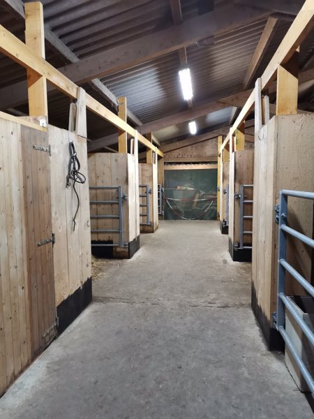 Écurie du marais - photo 2