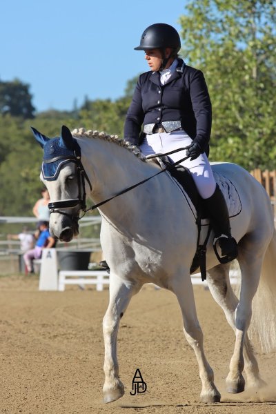 les écuries du breuil