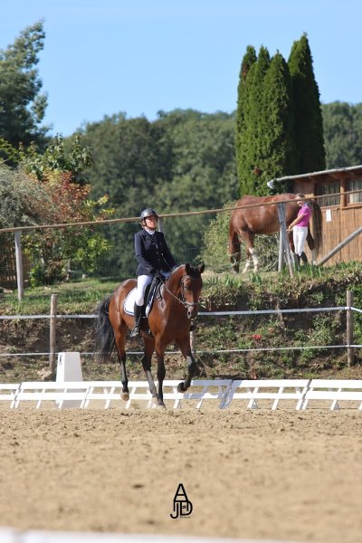 les écuries du breuil - photo 2