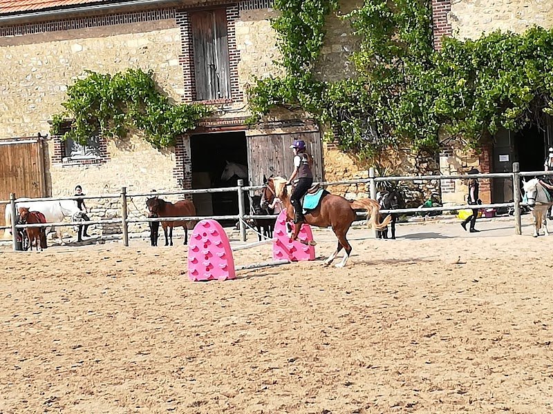 Les Ecuries de Breuil à Branscourt - photo 3