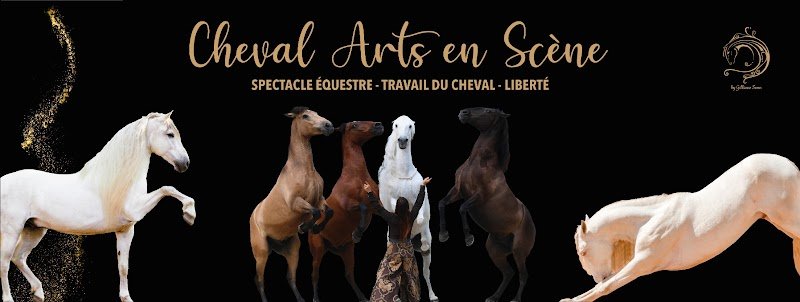 Cheval art en scène - photo 1