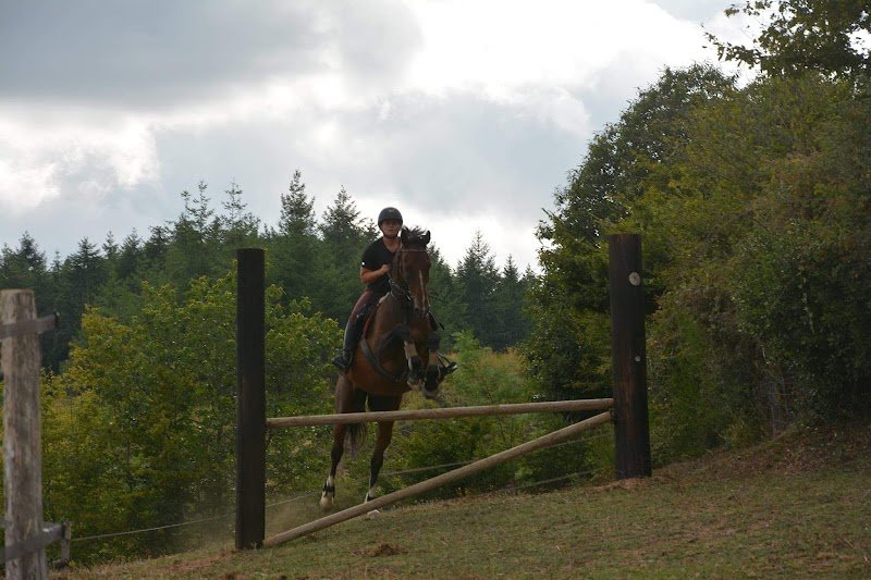 Les Écuries de Brixia - photo 1