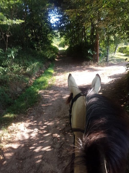 Les Écuries de Brixia - photo 2