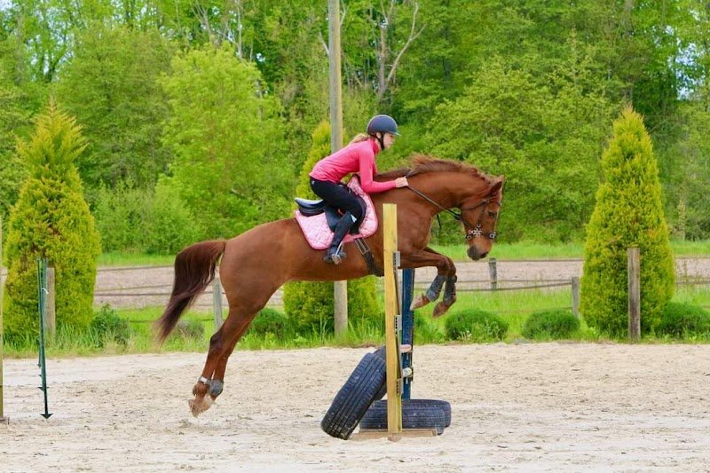 La Perle - Ecurie de propriétaires