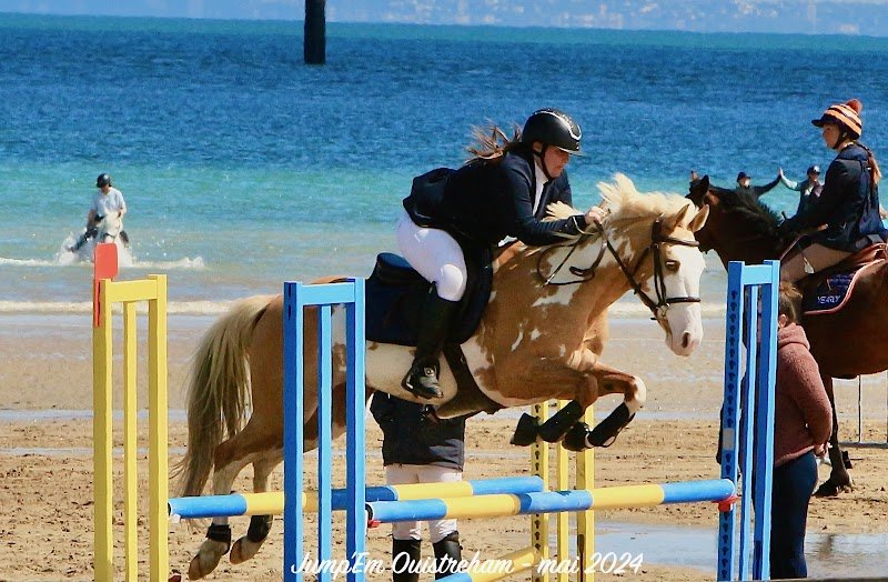 La Perle - Ecurie de propriétaires - photo 3