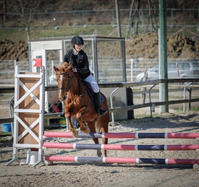 Centre équestre d'Aix les Bains