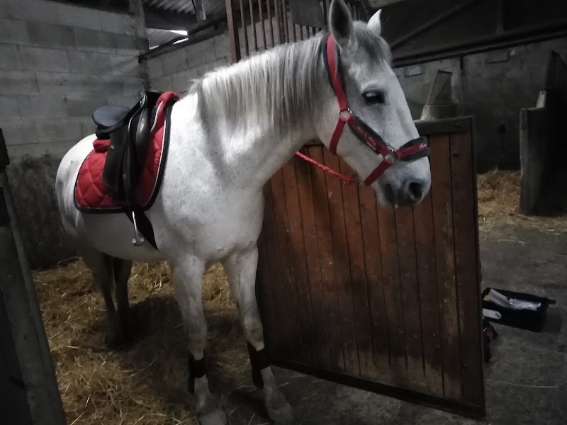 CENTRE EQUESTRE L ETALON - photo 3