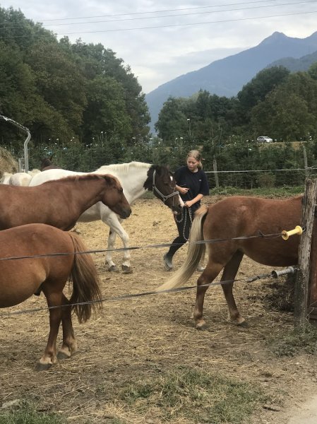 Centre Equestre des Millières - photo 2