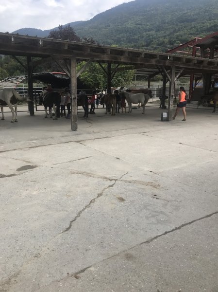Centre Equestre des Millières - photo 3