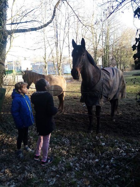 Les Ecuries du Forezan - photo 1