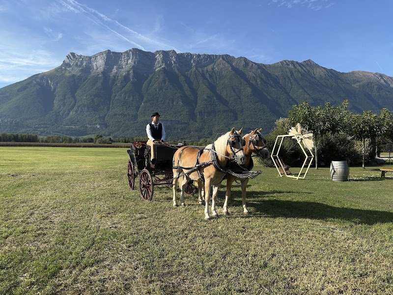 Les écuries d'Hercule - photo 2