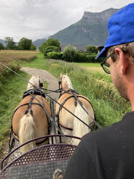 Les écuries d'Hercule - photo 3