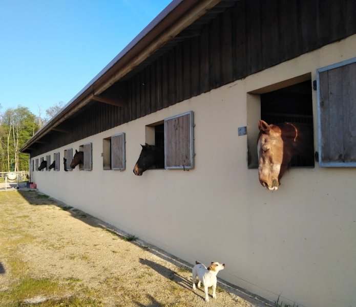 Ecuries du rocher de Montmelian - photo 1