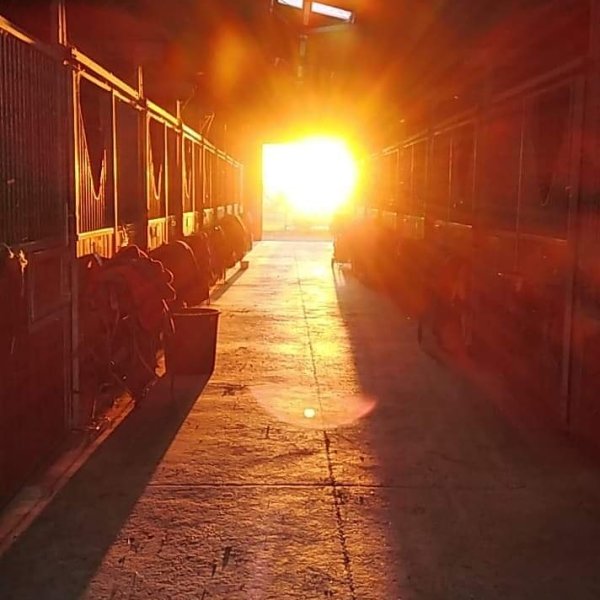 Ecuries du rocher de Montmelian - photo 2