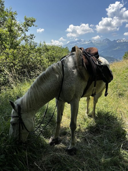 Les Écuries de Grand Cœur - photo 1