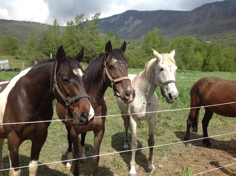 Les Écuries de Grand Cœur - photo 2