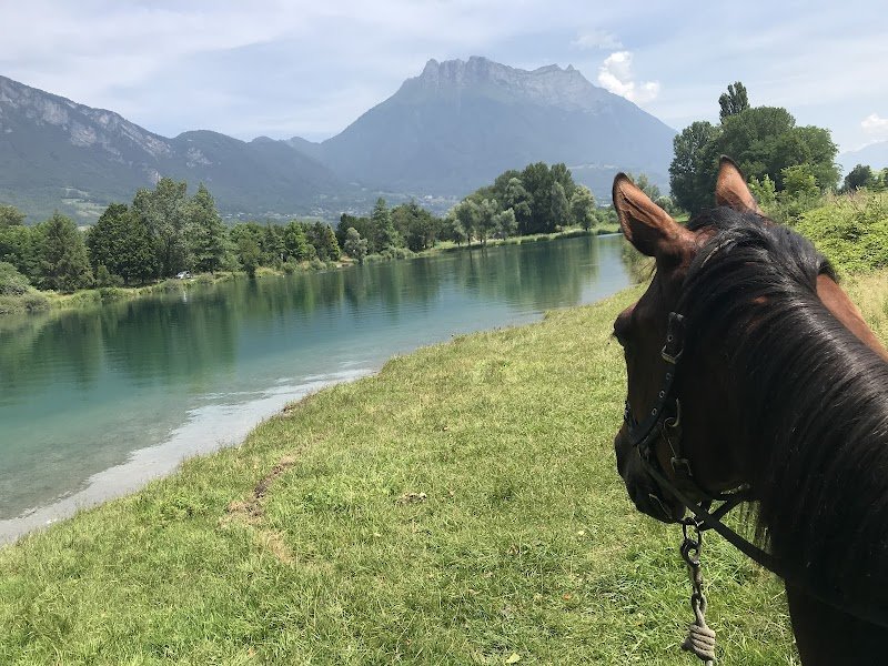 Les Écuries de Grand Cœur - photo 3