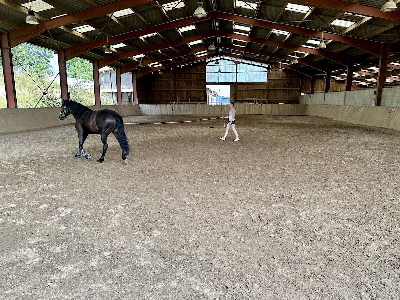 CENTRE EQUESTRE DE TRAIZE - photo 2