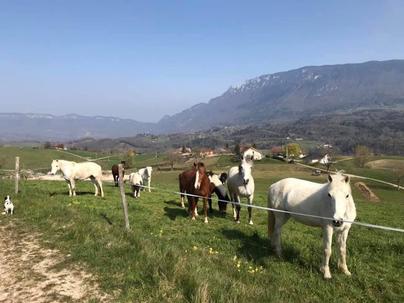 CENTRE EQUESTRE DE TRAIZE - photo 3
