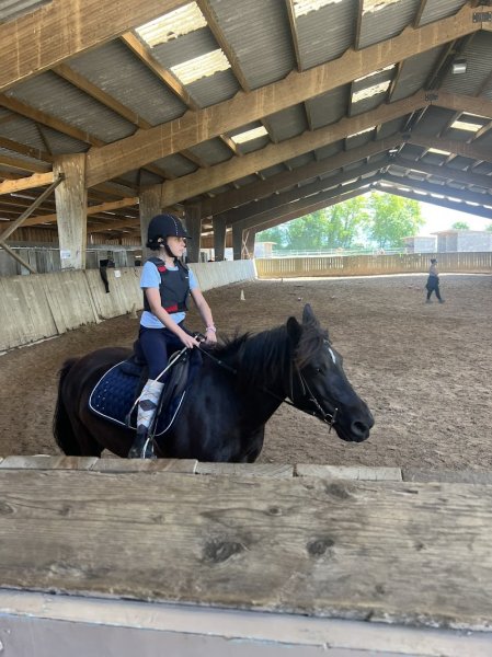 L'Ile Verte Ferme Equestre - photo 1
