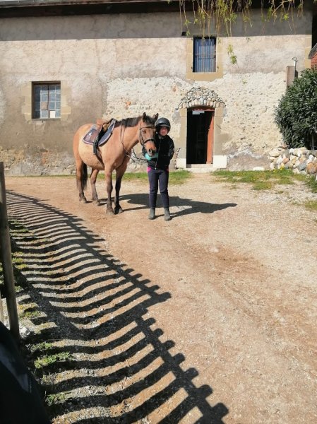 L'Ile Verte Ferme Equestre - photo 2