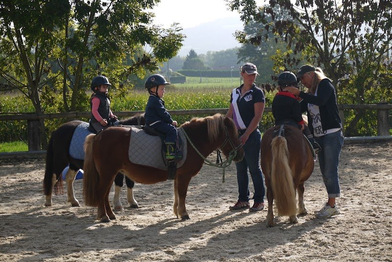 Les Ecuries Des Pious - photo 2