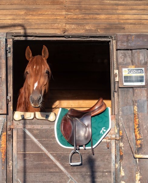 Centre Equestre de Savoie - photo 3