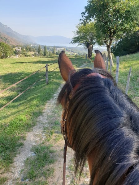 Écurie TerraPaco - photo 1