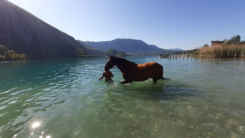 Écurie TerraPaco - photo 2