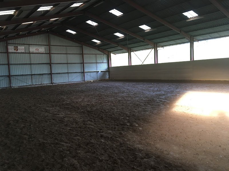 Les Ecuries du Foron / EQUIOSTÉOPLUS - photo 1