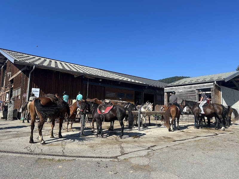 Le Cheval de Feug - Duvillard François & Florian - photo 1