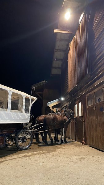 Le Cheval de Feug - Duvillard François & Florian - photo 3