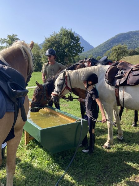 CENTRE EQUESTRE DES BAUGES - photo 2