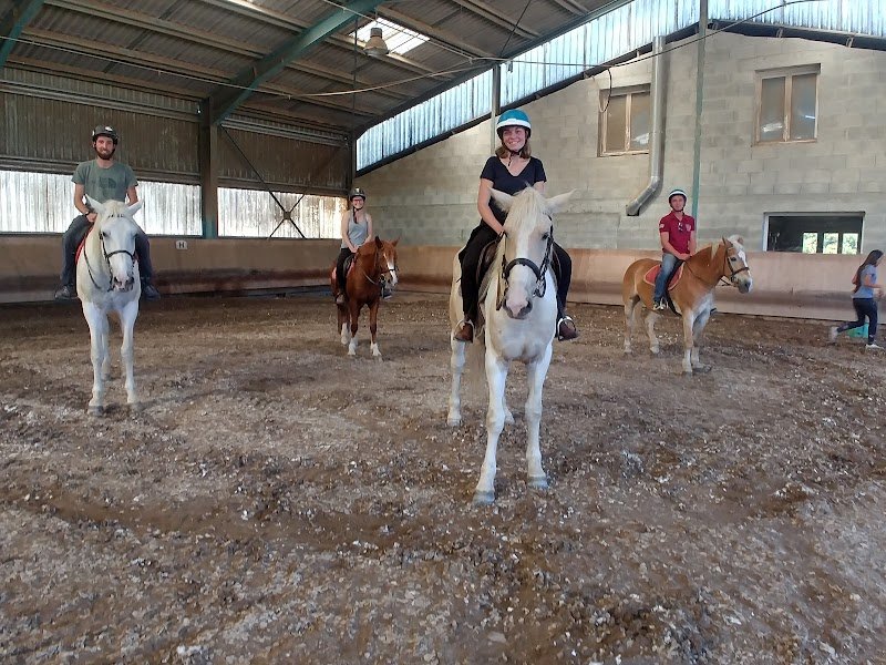 Centre équestre Les Cyclamens - photo 1