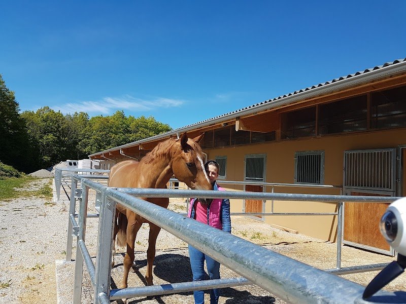 Ecuries 74 du Bois Blanc Haute-Savoie - photo 1