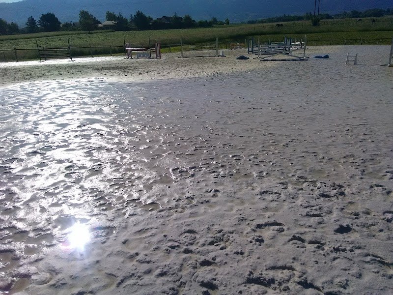 Ecuries 74 du Bois Blanc Haute-Savoie - photo 2